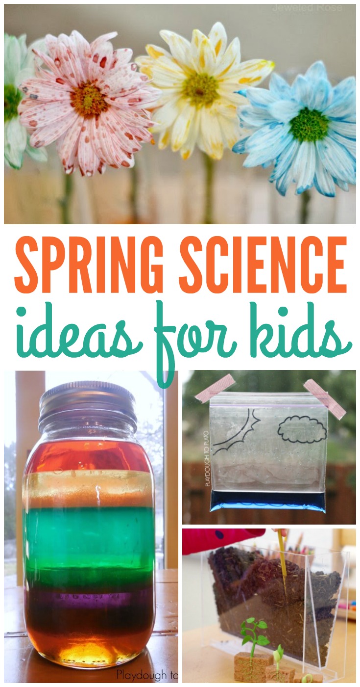 Spring Science Ideas for Kids