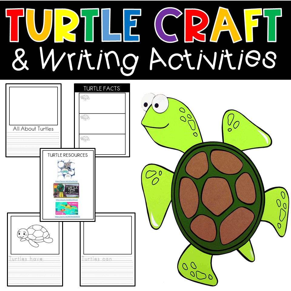 turtle craft