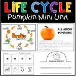 Life Cycle of a Pumpkin Mini Unit