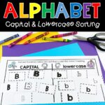 alphabet capital and lowercase sorting cover
