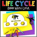 Life Cycle of a Bee Mini Unit