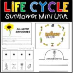 lifecycle sunflower mini unit cover