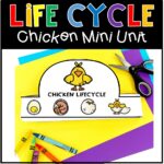 Life Cycle of a Chicken Mini Unit