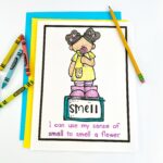 Senses: Smell